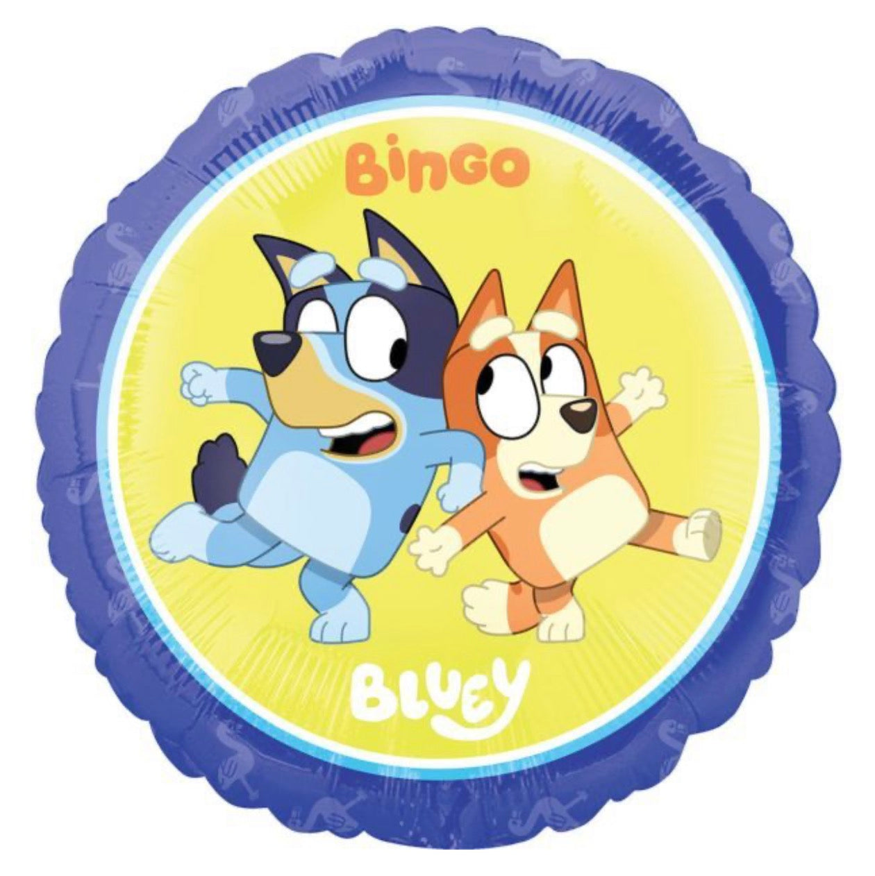 Bluey and Bingo