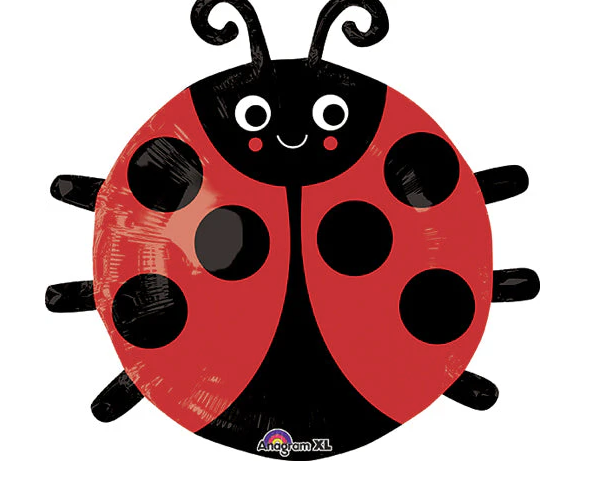 19" Happy Lady Bug